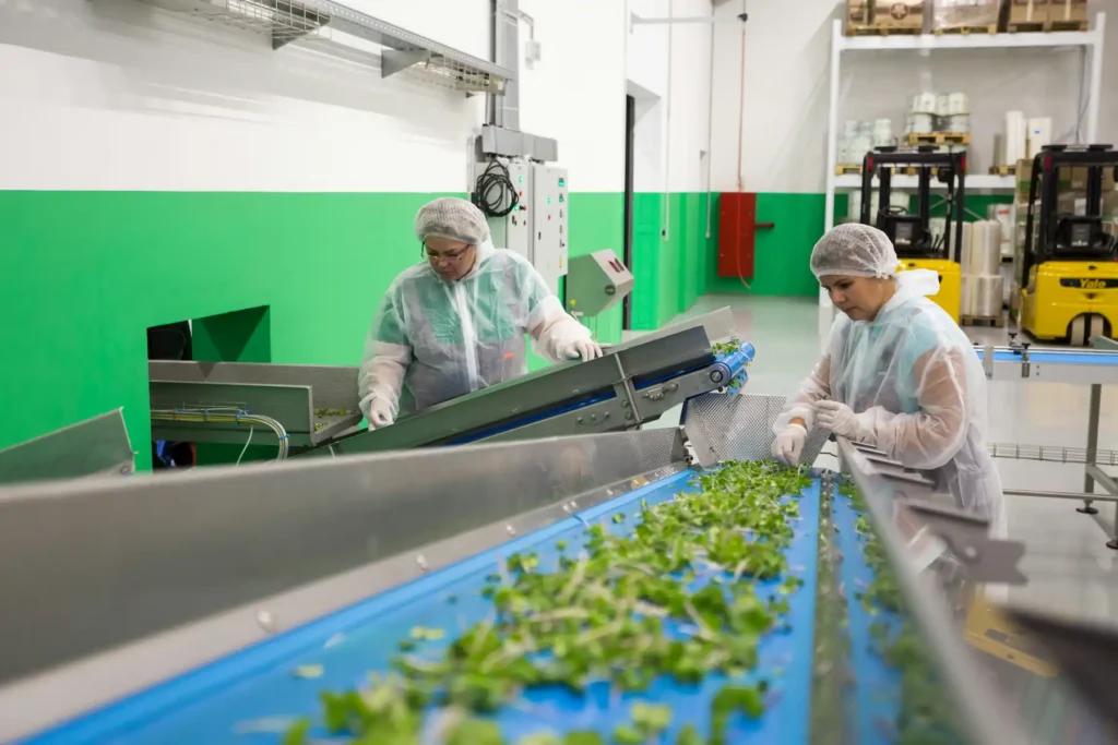 Productiearbeiders van Rumex in de voedingssector